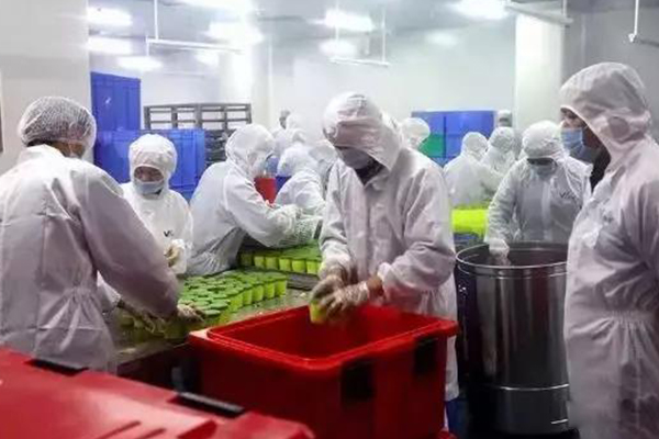 德國企業采購600個食品保溫箱
